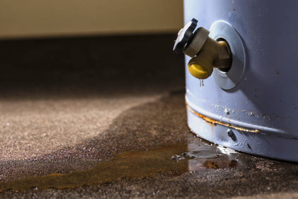 Best Basement water damage restoration  in Friday Harbor, WA