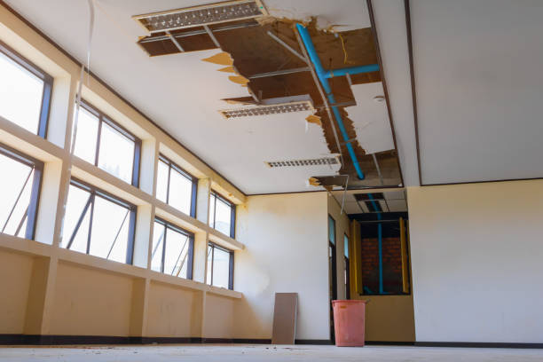 Best Water damage restoration near me  in Friday Harbor, WA