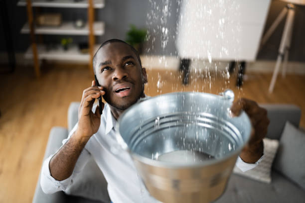 Best Water damage restoration services  in Friday Harbor, WA