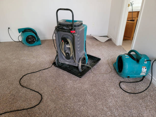 Sewage cleanup and water damage restoration in WA