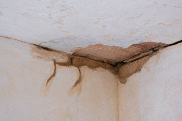 Best 24/7 water damage repair  in Friday Harbor, WA