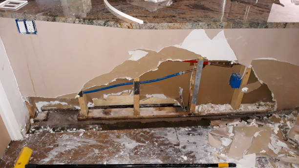 Best Sewage cleanup and water damage restoration  in Friday Harbor, WA