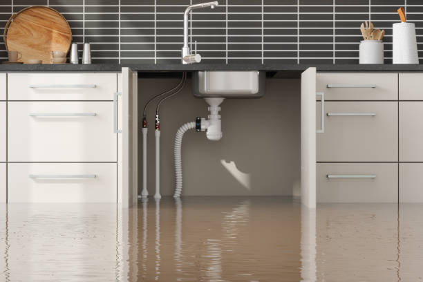 Best 24-hour water damage restoration  in Friday Harbor, WA