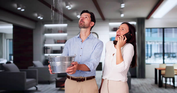 Best Residential water damage restoration  in Friday Harbor, WA