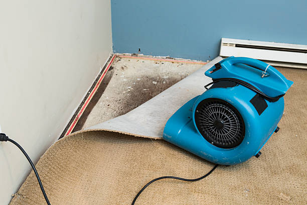 Best Flood restoration services  in Friday Harbor, WA