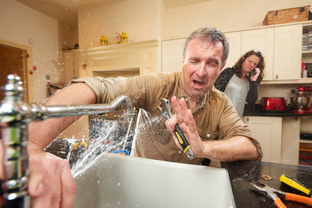 Best Professional water damage repair  in Friday Harbor, WA